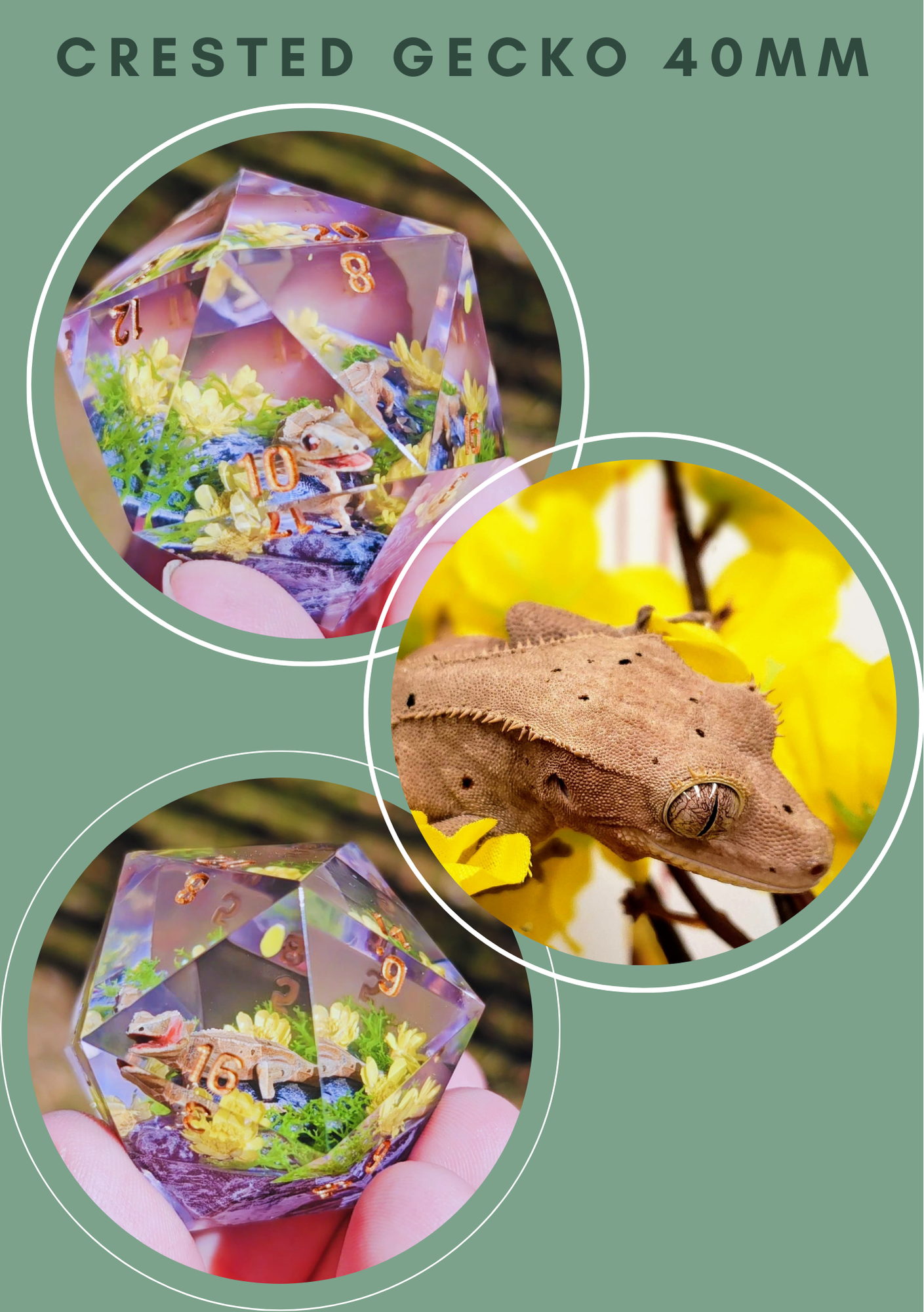 Custom Pet Diorama D20 Commission Slot