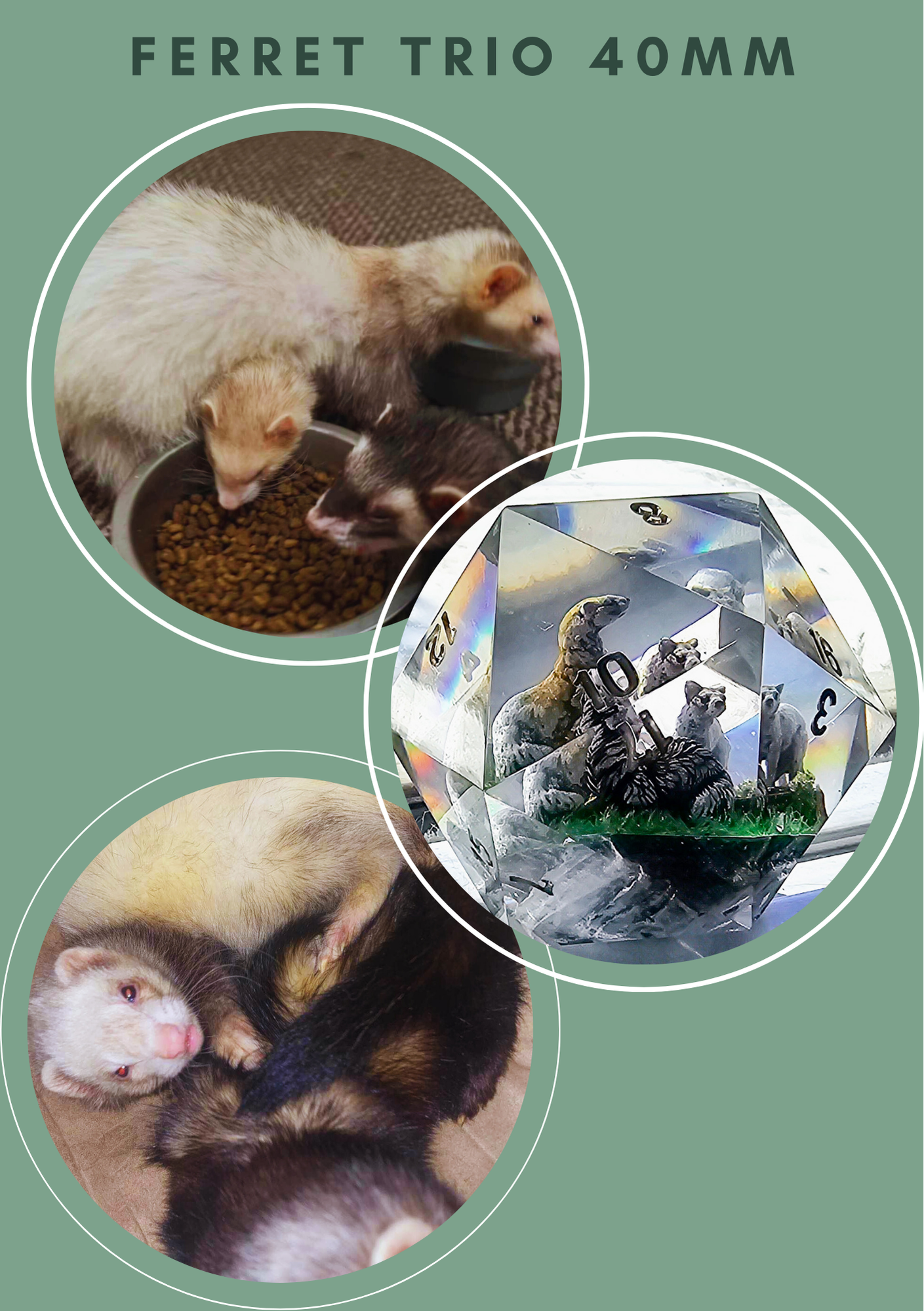 Custom Pet Diorama D20 Commission Slot