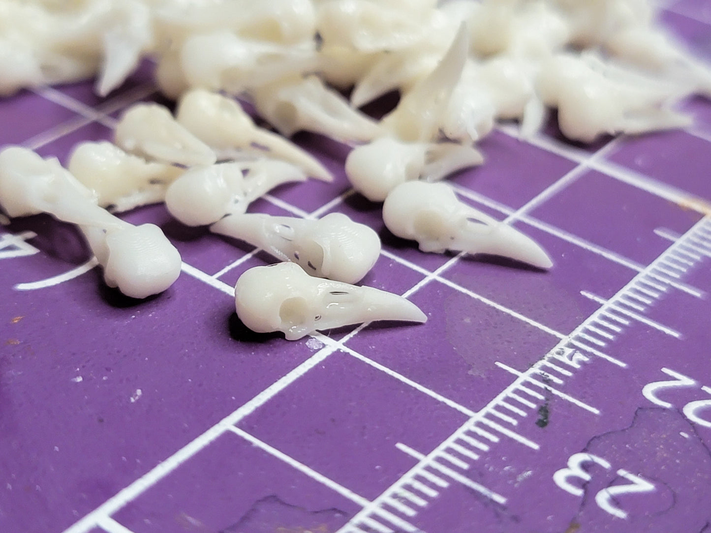 Raven Skull resin inclusion