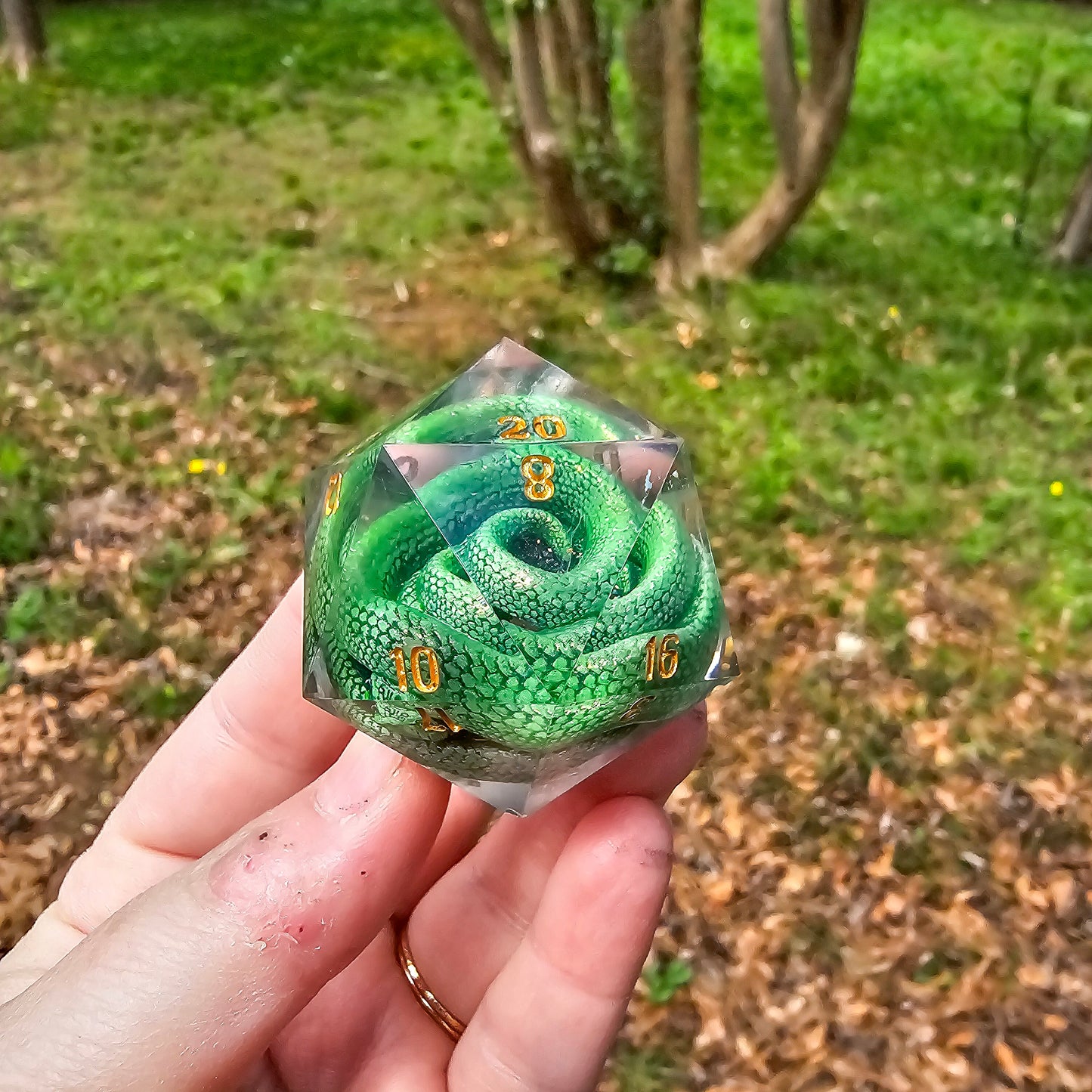 Slither 40mm Art View Chonk